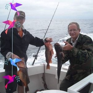 Meet your Posher, Michael